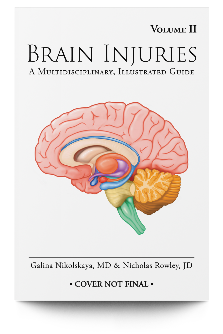 Brain Injuries: A Multidisciplinary, Illustrated Guide - Trial Guides