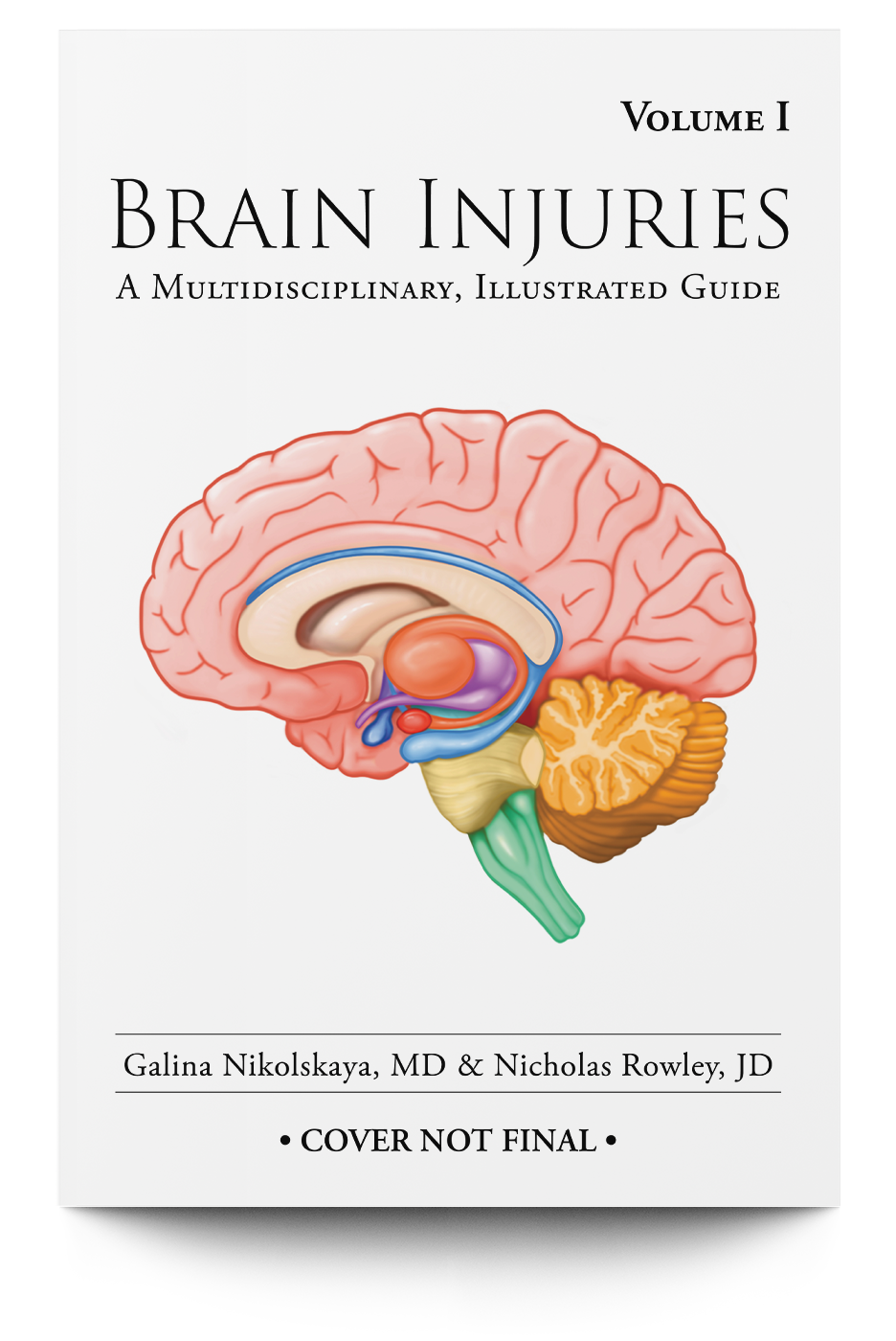 Brain Injuries: A Multidisciplinary, Illustrated Guide - Trial Guides