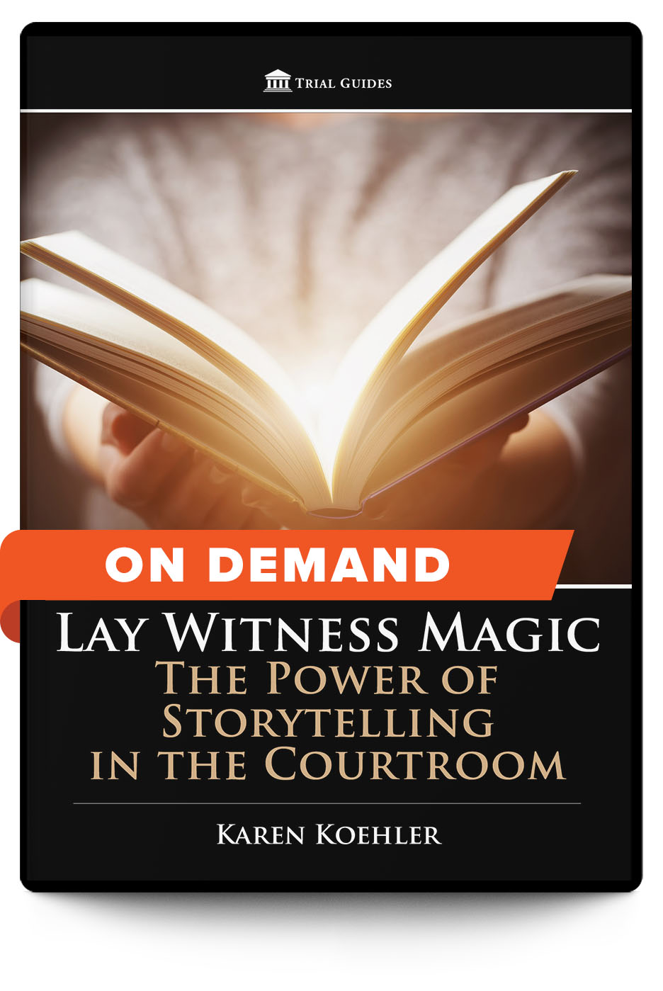 Lay Witness Magic: The Power of Storytelling in the Courtroom - On Demand - Trial Guides