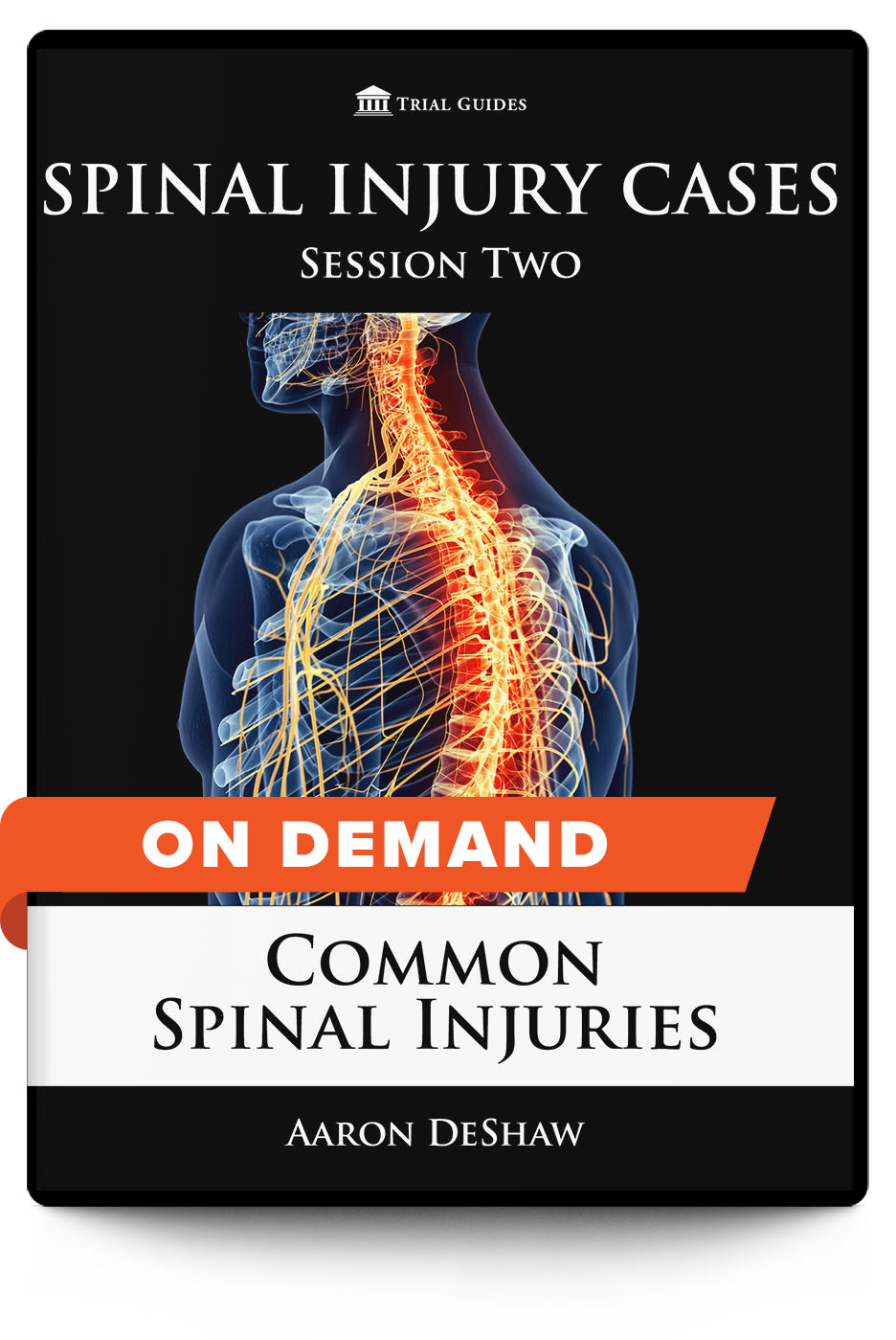 Spinal Injury Cases, Session Two: Common Spinal Injuries - On Demand - Trial Guides
