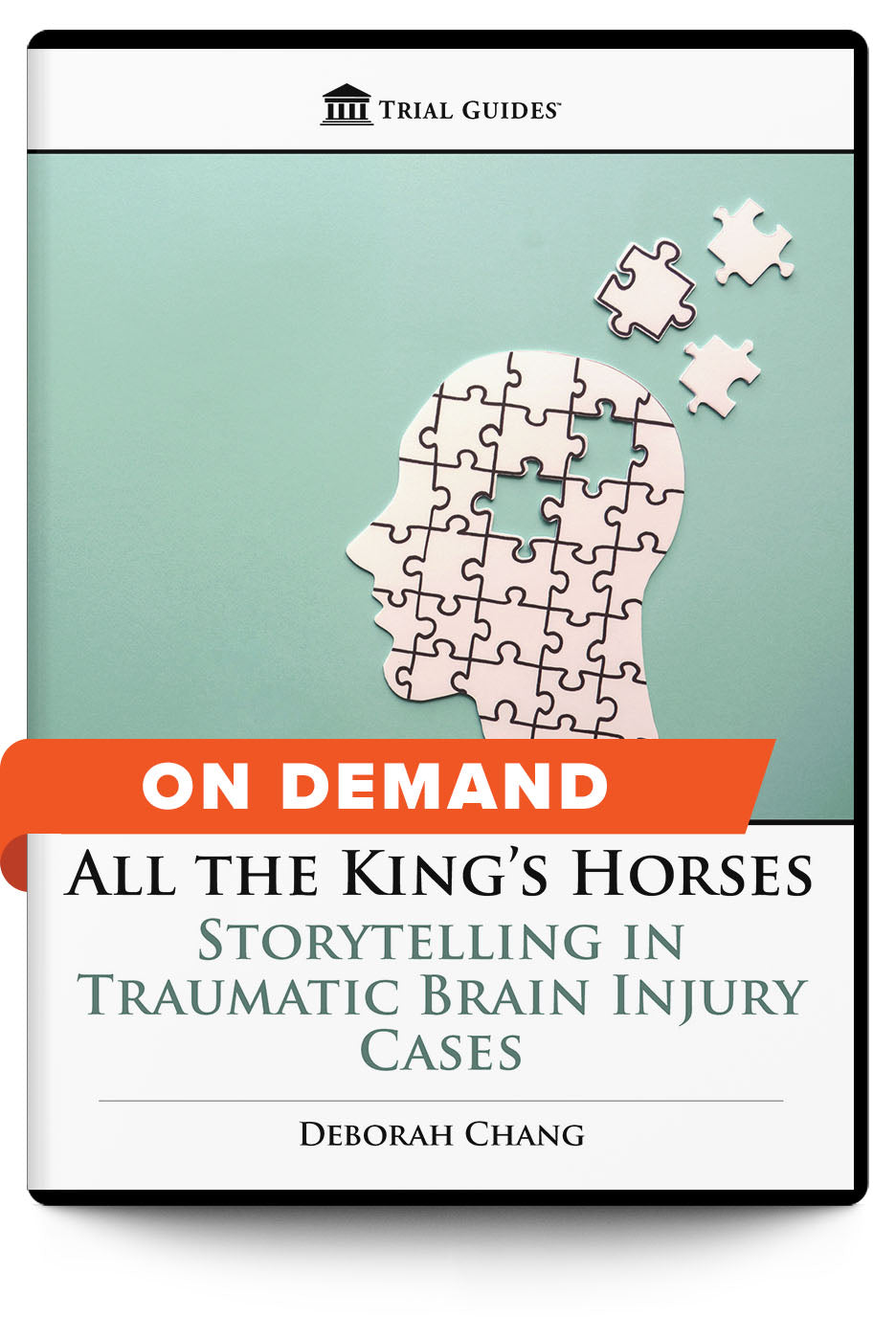 All the King’s Horses: Storytelling in Traumatic Brain Injury Cases - On Demand - Trial Guides