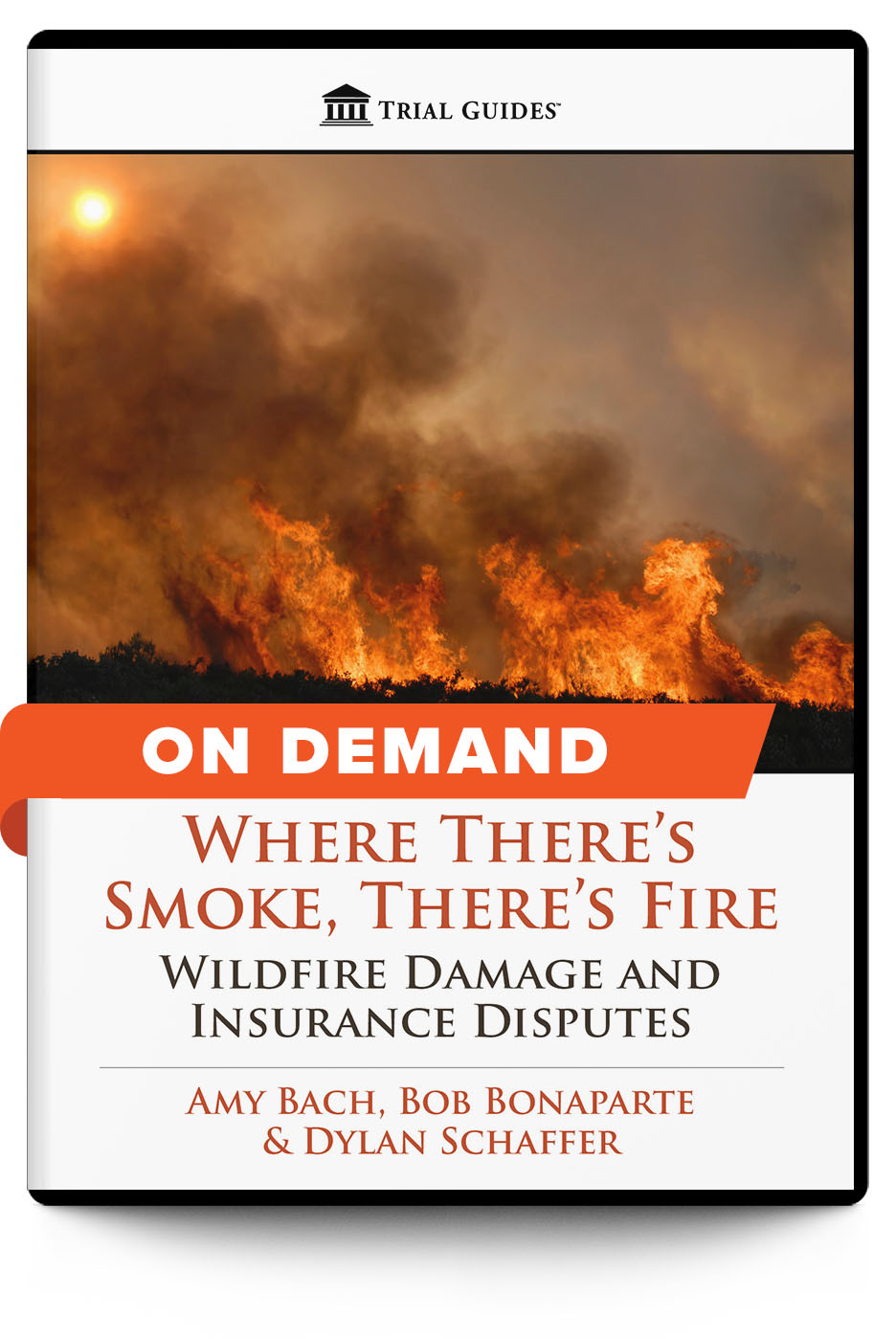 Where There's Smoke, There's Fire: Wildfire Damage and Insurance Disputes - On Demand - Trial Guides