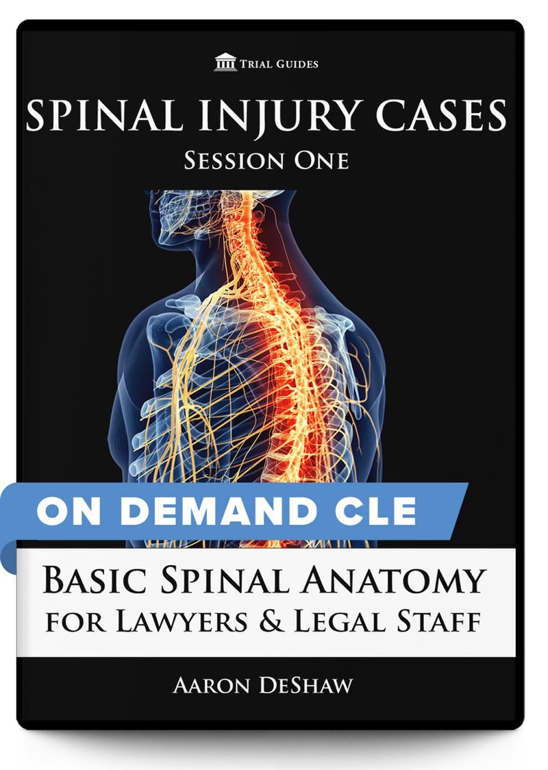 Spinal Injury Cases for Lawyers