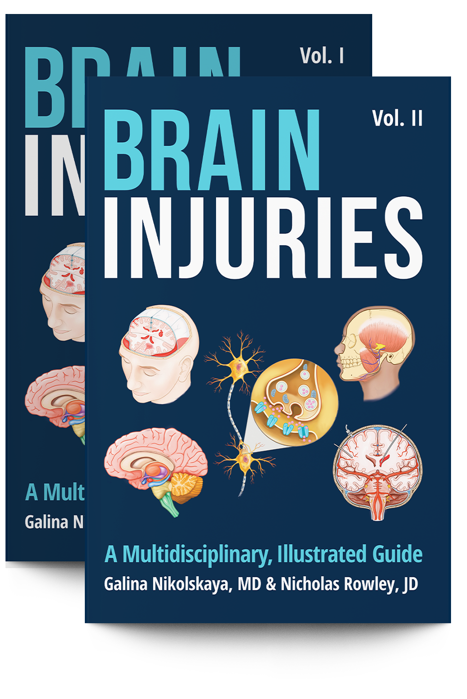 Brain Injuries: A Multidisciplinary, Illustrated Guide
