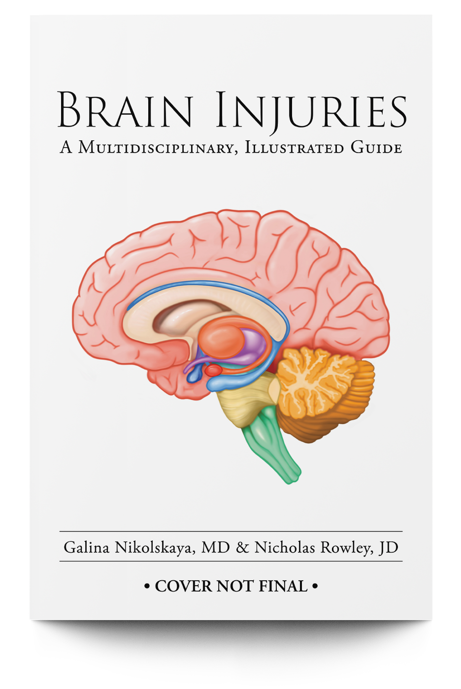 Brain Injuries: A Multidisciplinary, Illustrated Guide - Trial Guides
