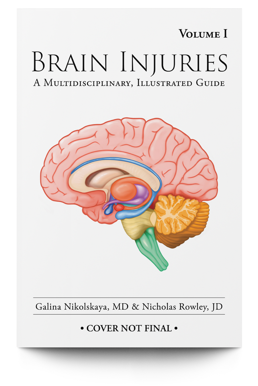 Brain Injuries: A Multidisciplinary, Illustrated Guide – Trial Guides