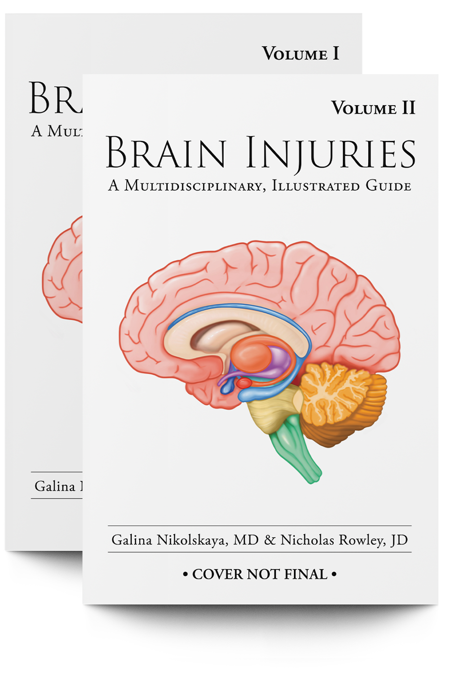 Brain Injuries: A Multidisciplinary, Illustrated Guide - Trial Guides