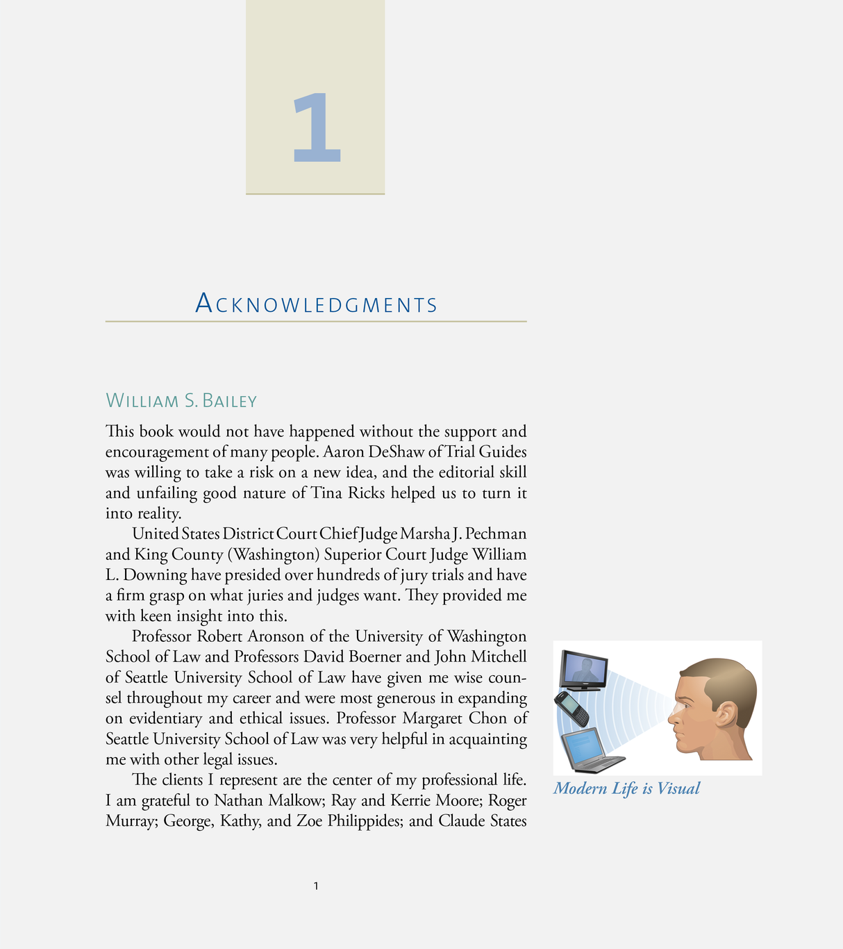 Show the Story: The Power of Visual Advocacy - Trial Guides