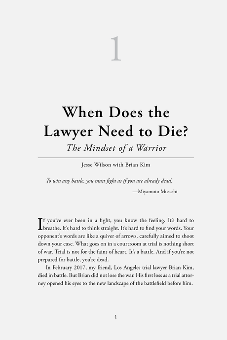 Example of Chapter One of Witness Preparation