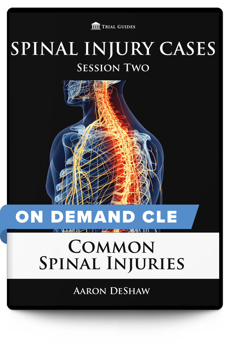 Spinal Injury Cases, Session Two: Common Spinal Injuries - On Demand CLE - Trial Guides
