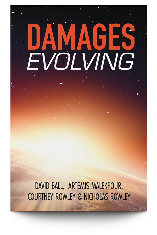 David Ball Risk David Ball – Trial Guides