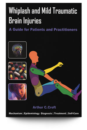 Whiplash and Mild Traumatic Brain Injuries: A Guide for Patients and Practitioners - Trial Guides